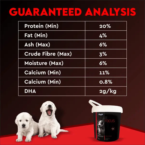 Drools Focus Pup Booster 300g Puppy Milk Replacer