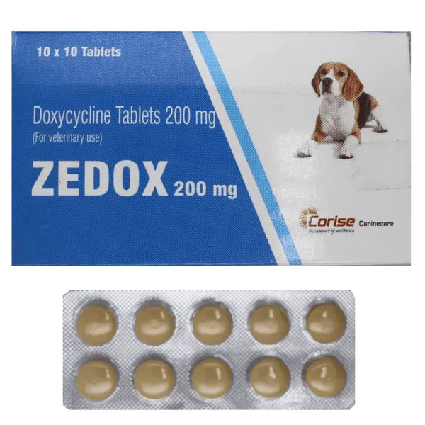Corise Zedox Tablets for Dogs and Cats - Broad-Spectrum Veterinary Antibiotic