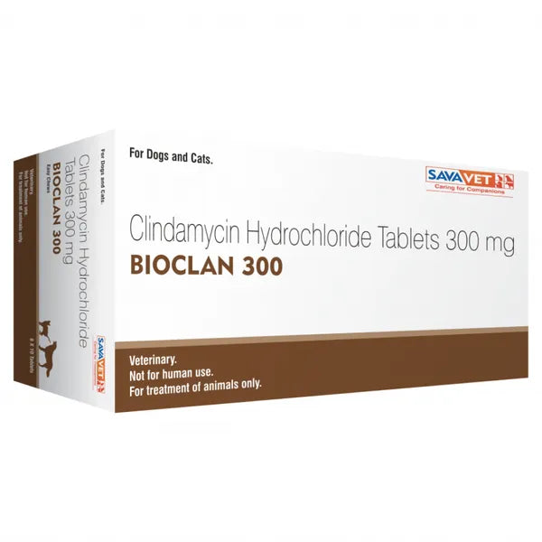Savavet Bioclan (Clindamycin) Tablets for Dogs & Cats