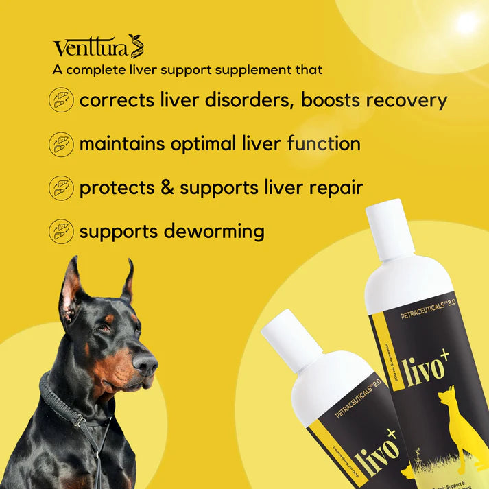 Venttura Livo+ 250ml Herbal Liver Tonic for Pets