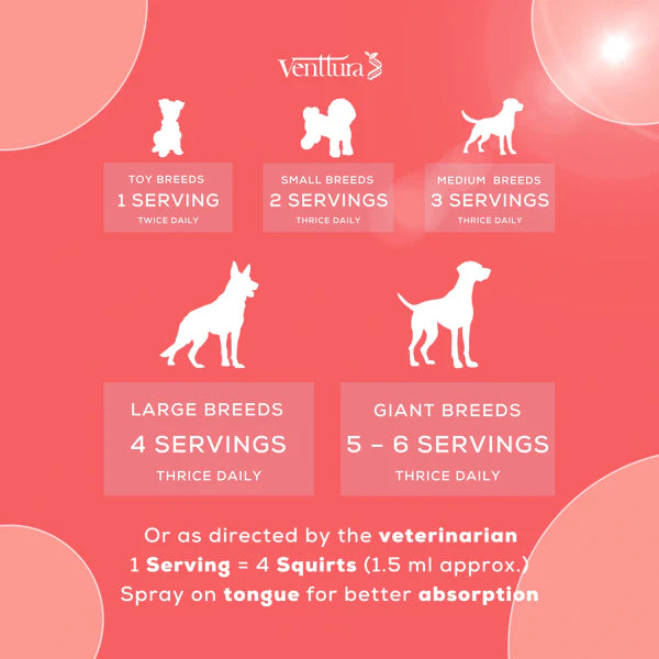Venttura Immuno+ 100ML – Advanced Pet Immunity Booster for Dog