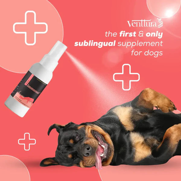 Venttura Immuno+ 100ML – Advanced Pet Immunity Booster for Dog