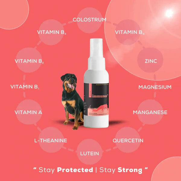 Venttura Immuno+ 100ML – Advanced Pet Immunity Booster for Dog