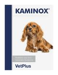 VetPlus Kaminox 30 Sachets for Dogs & Cats – Potassium & Kidney Support Supplement
