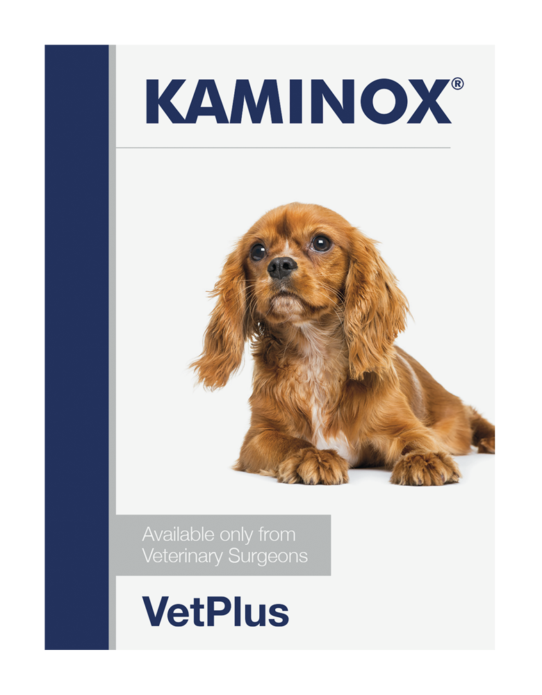 VetPlus Kaminox 30 Sachets for Dogs & Cats – Potassium & Kidney Support Supplement