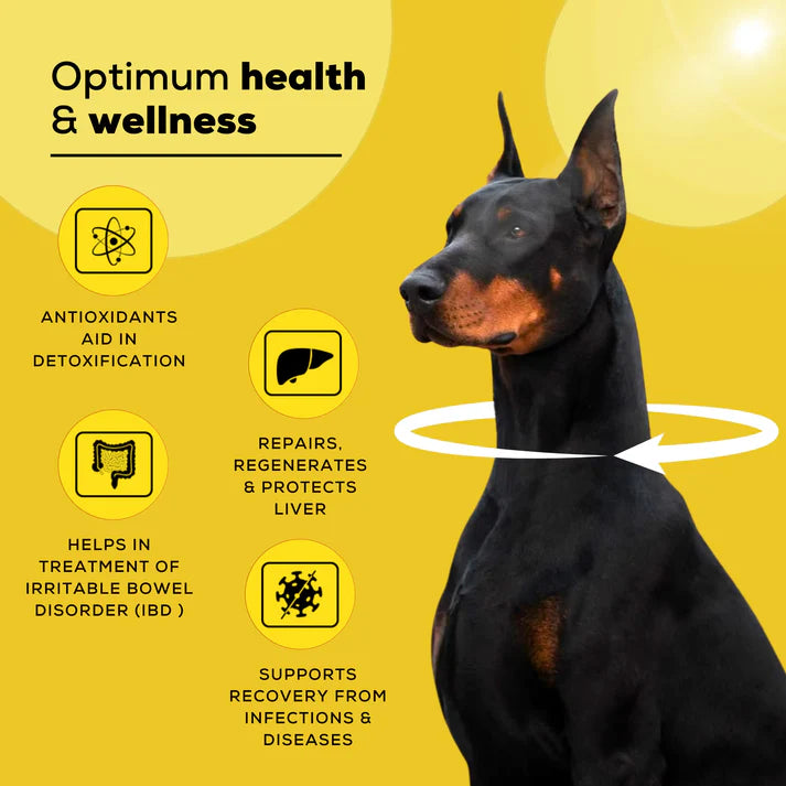 Venttura Livo+ 250ml Herbal Liver Tonic for Pets