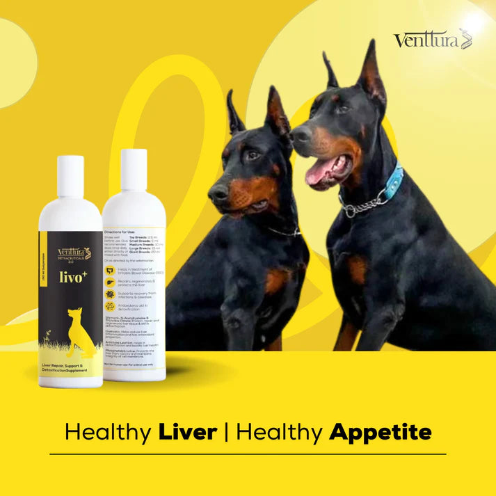 Venttura Livo+ 250ml Herbal Liver Tonic for Pets