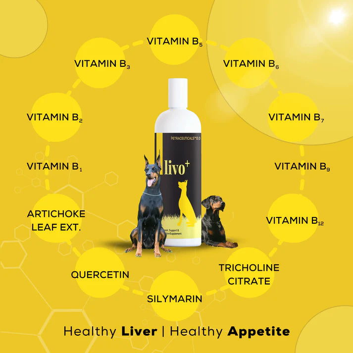 Venttura Livo+ 250ml Herbal Liver Tonic for Pets