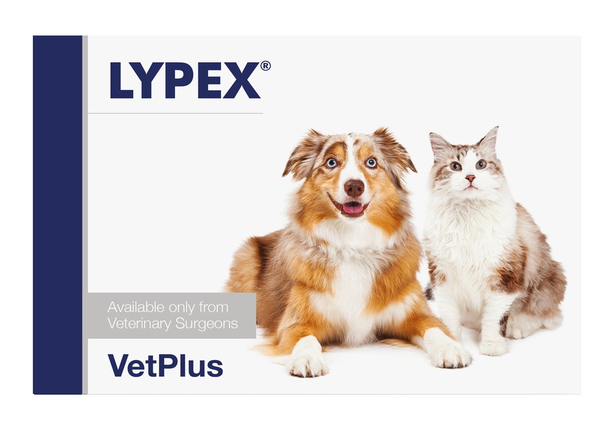 Vetplus Lypex 60 Capsules for Dogs & Cats | Digestive Enzyme Supplement