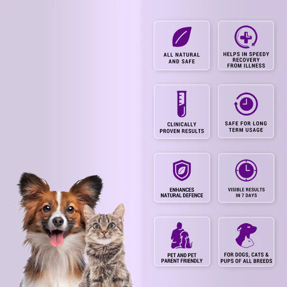 Natural Remedies Natlife Natural Energy & Immunity Booster Paste for Dogs & Cats - 30ml