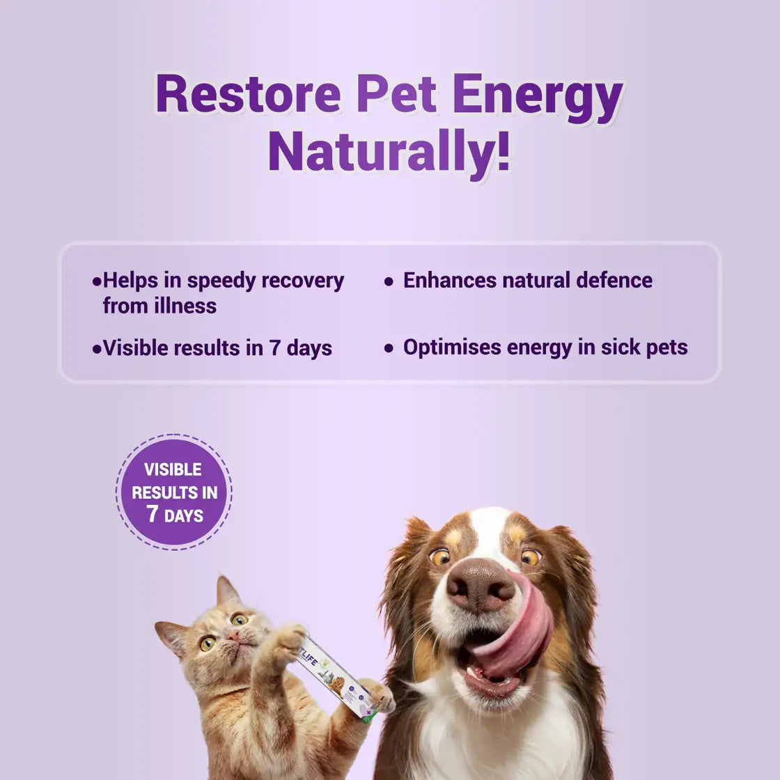 Natural Remedies Natlife Natural Energy & Immunity Booster Paste for Dogs & Cats - 30ml