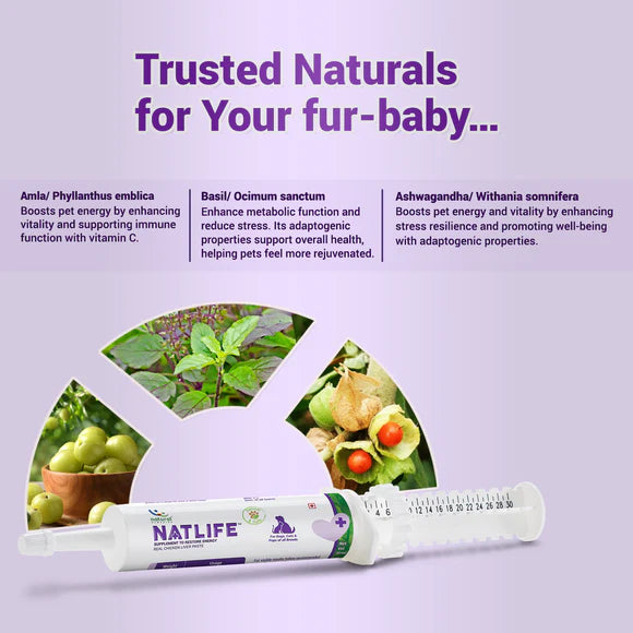 Natural Remedies Natlife Natural Energy & Immunity Booster Paste for Dogs & Cats - 30ml