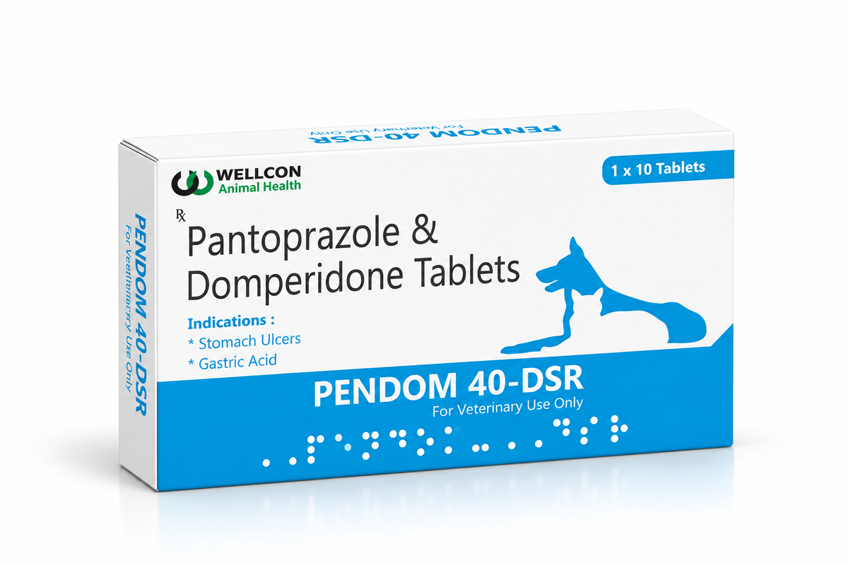 Wellcon Pendom DSR 40mg Tablets for Dogs & Cats | Pantoprazole & Domperidone | 10 Tablets