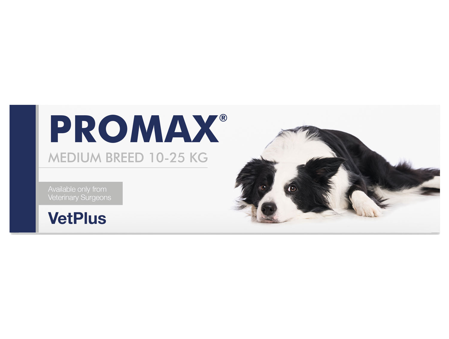 VetPlus Promax Paste 18ml Medium Breed | Digestive & Gut Health Support for Dogs