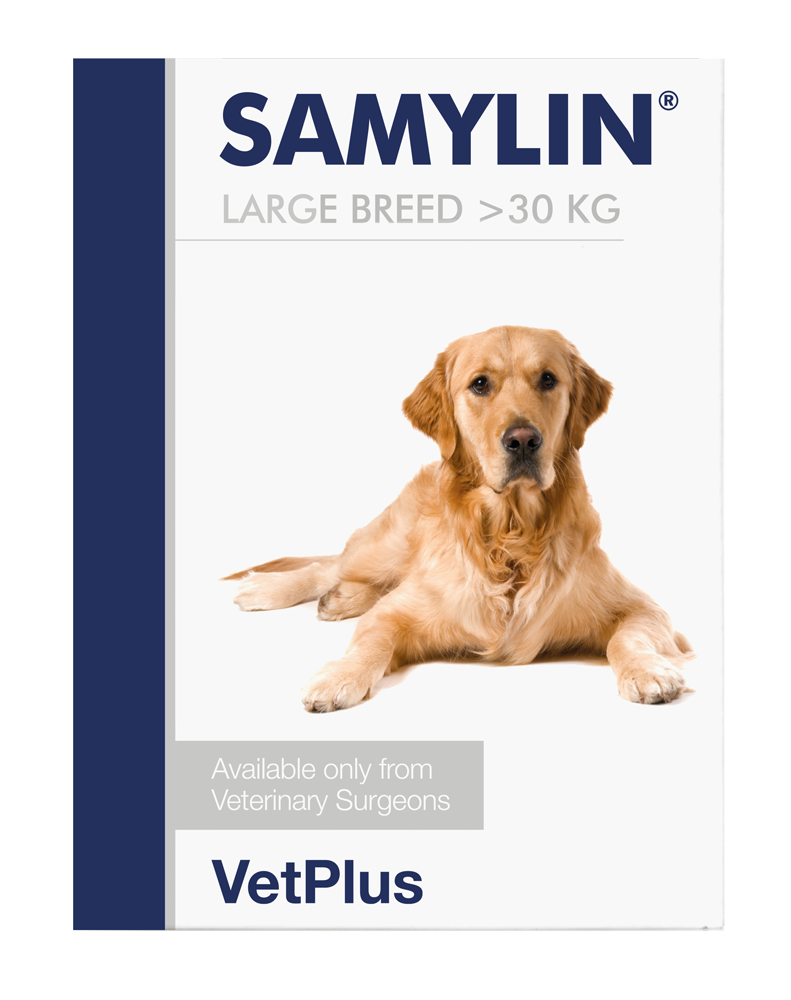 Vetplus Samylin Sachets For Cat & Dogs | Pack of 30's