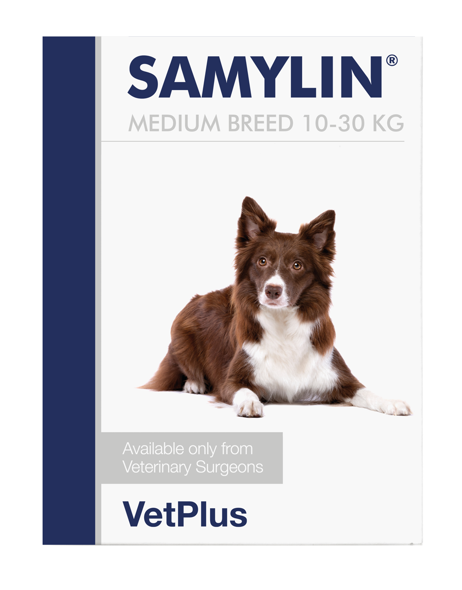 Vetplus Samylin Medium Breed  30 Tabs For Dogs