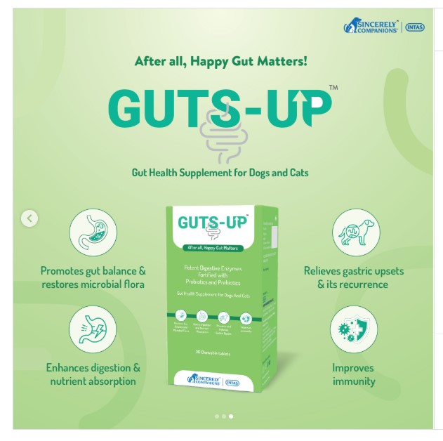 Intas Guts-Up Gut Health Suppliment for Dogs and Cats 30 Tabs