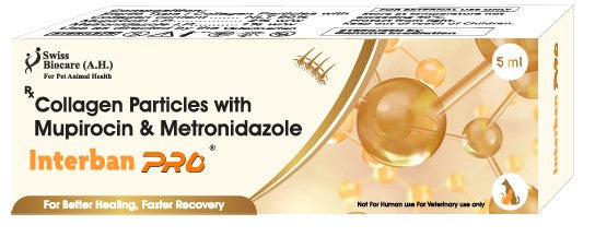 Interban Pro 5ml pack – Collagen Particles with Mupirocin & Metronidazole
