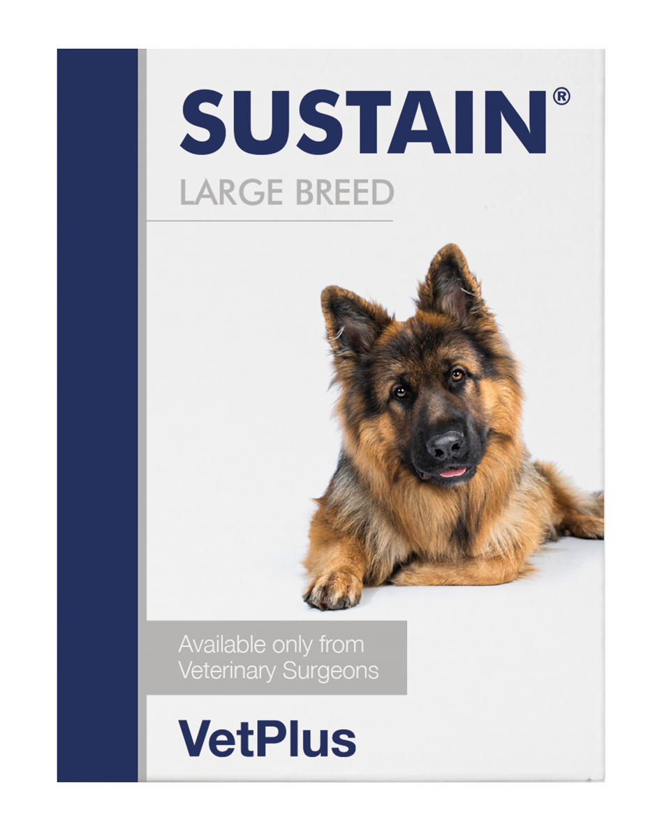 Vetplus Sustain Large Breed 10 Sachets For Dogs