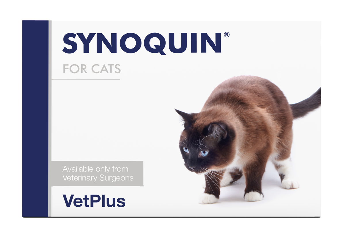 Vetplus Synoquin Cat Joint Supplement for Cats | Supports Mobility