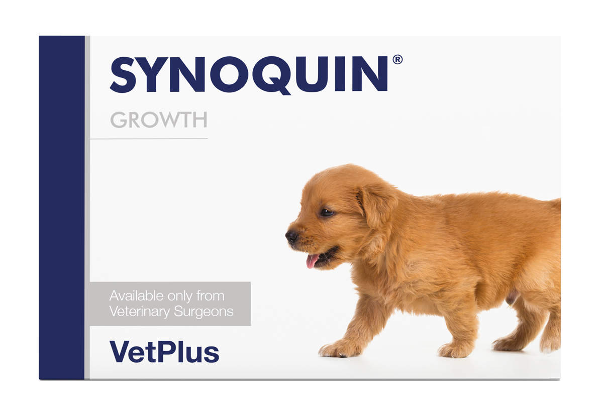 Vetplus Synoquin Growth 60 Tabs for Dogs