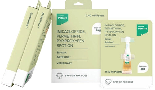 Orange Pet Nutrition