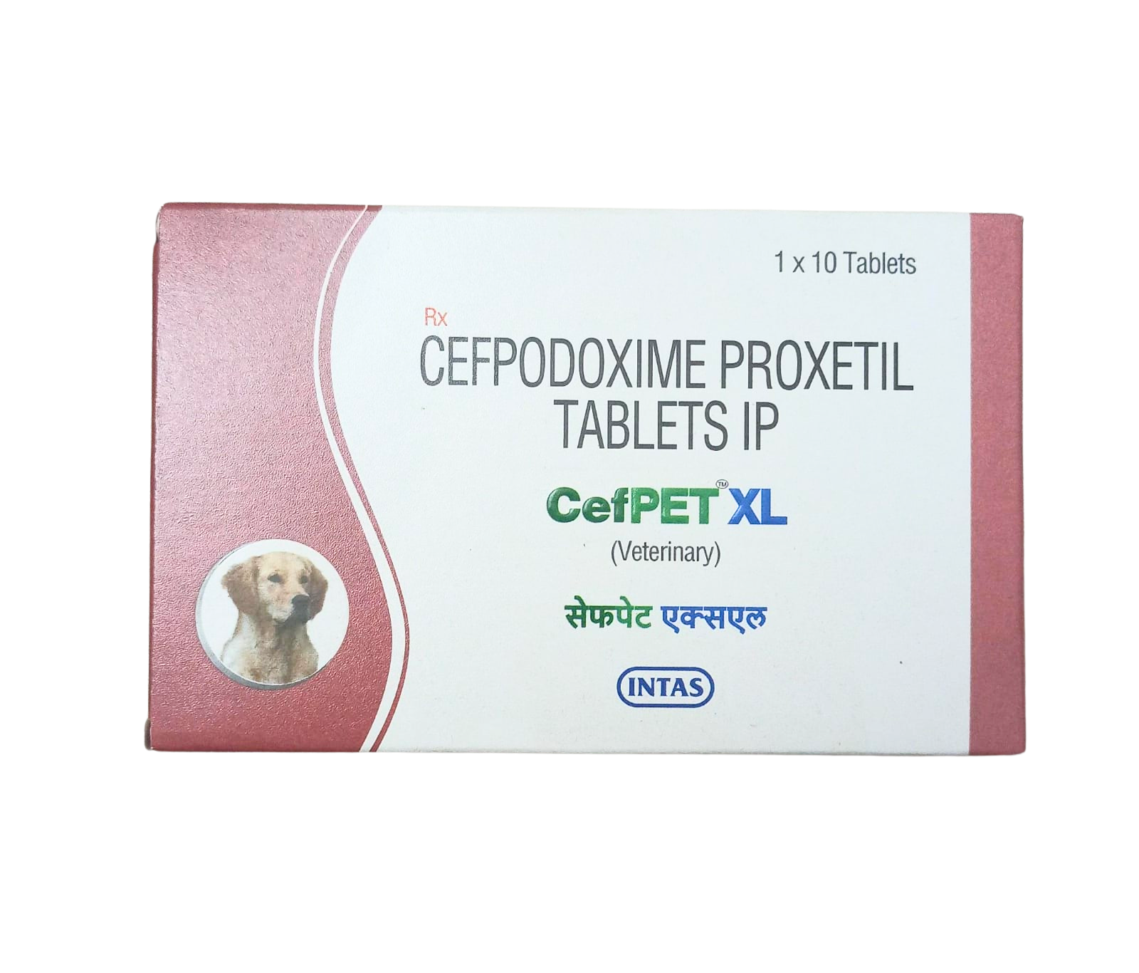 Intas Cefpet Tablet for Dogs & Cats