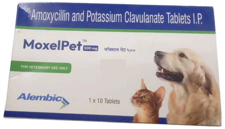 Alembic MoxelPet Amoxycillin & Potassium Clavulanate Tablets for Dogs and Cats
