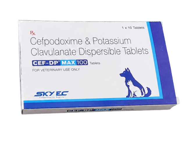 Skyec CEF-DP Tablet 10's