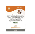 Intas Cefpet Dry Syrup for Dogs and Cats (30ml)