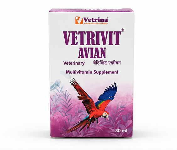 Vetrina Vetrivit Avian Multivitamin Supplement for Birds | Vitamin A D3 E C B-Complex K3 Calcium Niacinamide Folic Acid Biotin | 30ml Liquid