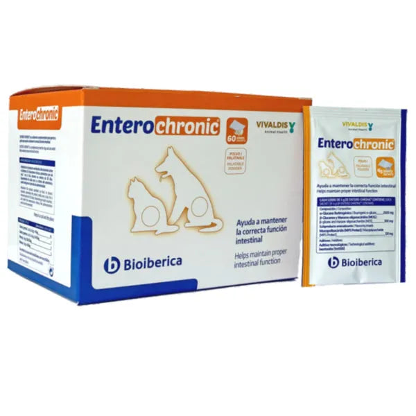 Vivaldis Entero Chronic Pack of 10Sachet's | Gut Health Powder for Dogs & Cats â€“ Prebiotics & Probiotics Supplement for Digestive Support, Healthy Digestion, and Immune Boost