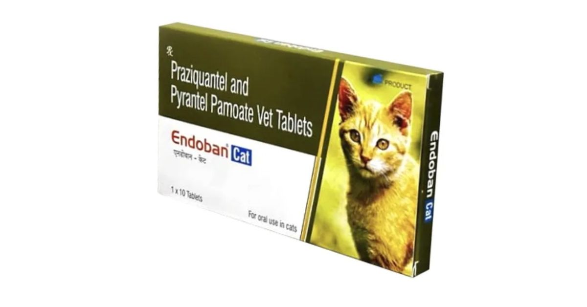 TTK Endoban Cat Dewormer Tablets â€“ Effective Broad-Spectrum Parasite Control  1 Strip for Cats
