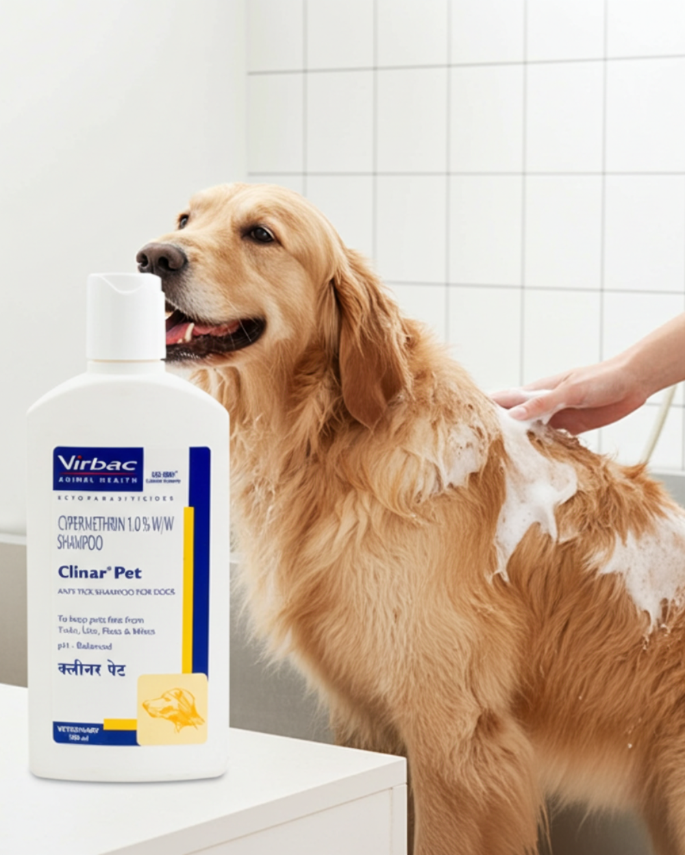 Virbac Clinar Pet Shampoo 100ml â€“ Medicated Antibacterial & Antifungal Shampoo for Dogs & Cats, Controls Itching, Odor & Skin Infections