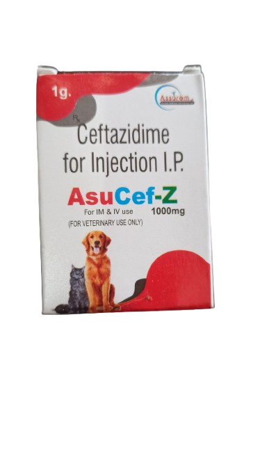 Assurem Asucef - Z Injection â€“ Powerful Ceftriaxone and Sulbactam Combination