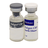 Virbac Feligen CRP Cat & Kitten Vaccine â€“ Core Protection Against Calicivirus, Rhinotracheitis & Panleucopenia