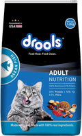 DROOLS CAT ADULT OCEAN FISH