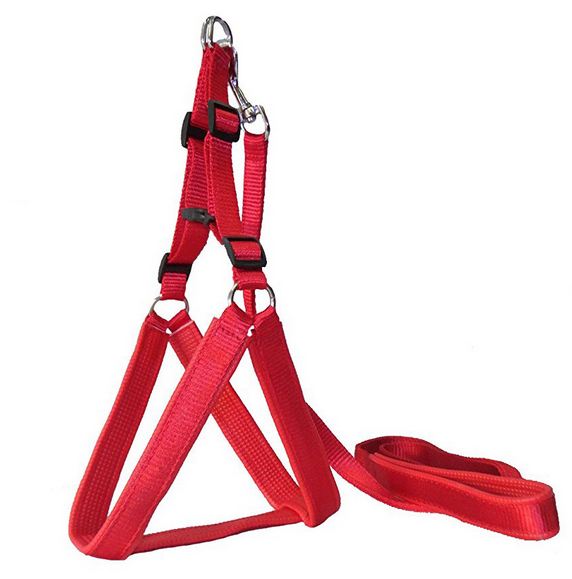 Paws & Tailsâ„¢ Plain Nylon Padded Dog Leash & Harness Set