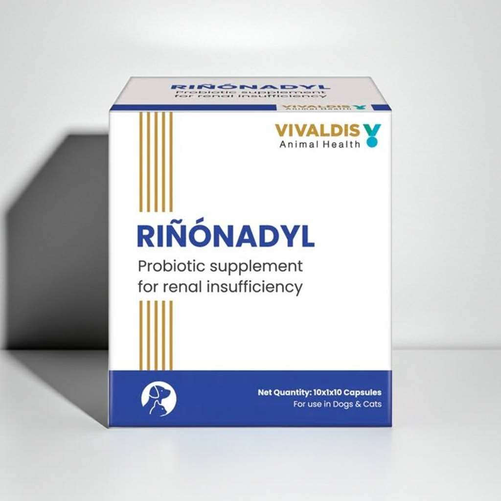 Vivaldis Rinonadyl Capsules 1 Strip | Kidney Support Supplement | Helps Maintain Renal Health