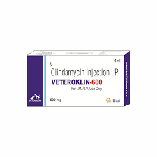 Oriheal Veteroklin-600 Vet Injection | Broad Spectrum Antibiotic | Amoxicillin + Cloxacillin for Livestock & Companion Animals