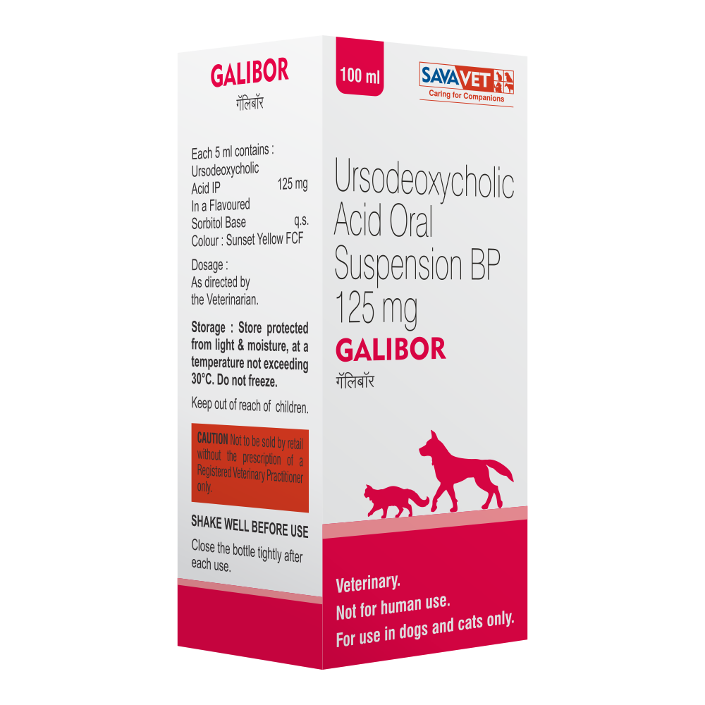 Savavet Galibor Suspension for Dogs & Cats â€“ Ursodeoxycholic Acid Oral Suspension 100 ml for Liver & Gall Bladder Support