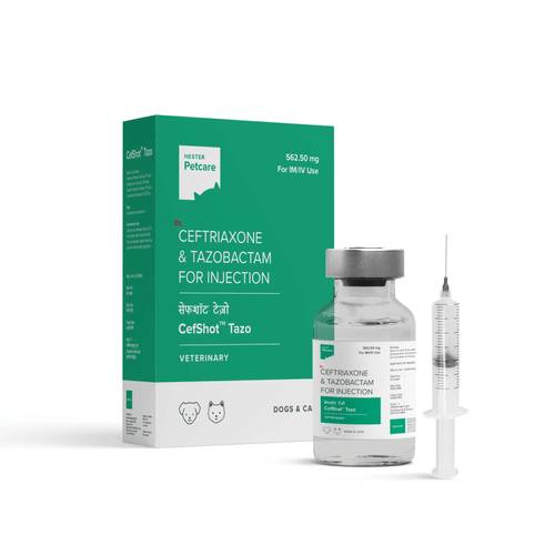 Hester Cefshot Tazo 562.5 mg Injection - For Dogs & Cats, Resistant Bacterial Cases