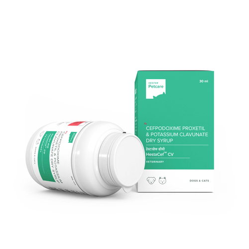 Hester Hestacef-CV Dry Syrup by Hestar | Cefpodoxime Proxetil + Clavulanic Acid Antibiotic