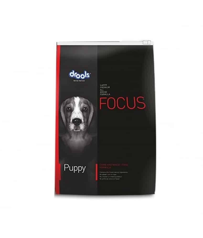 DROOLS FOCUS PUPPY