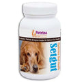 Vetrina Setgut Powder for Dogs and Cats (50g) â€“ Probiotic & Digestive Enzyme Supplement
