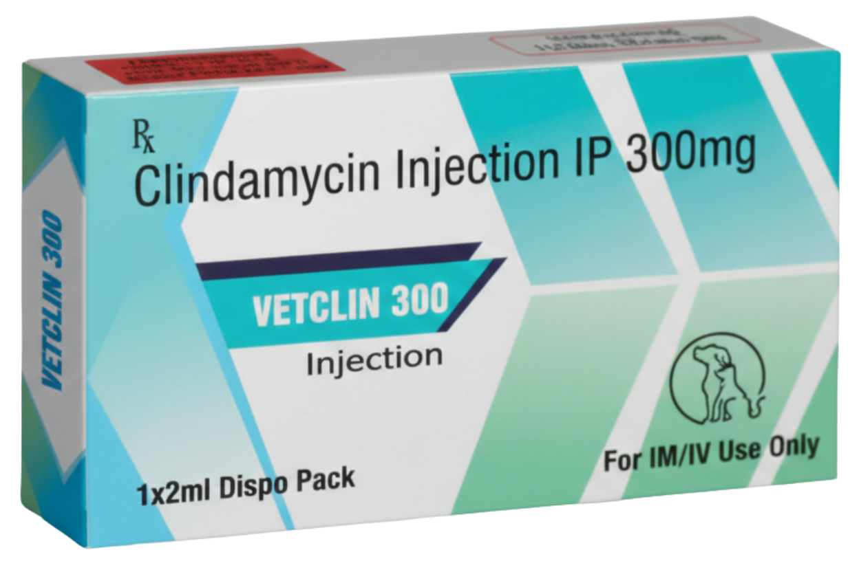 Sihil Vetclin 300mg Inj â€“ Clindamycin Injectable for Pets | Effective Veterinary Medicine for Skin, Soft Tissue, Dental & Respiratory Infections (2ml Vial)