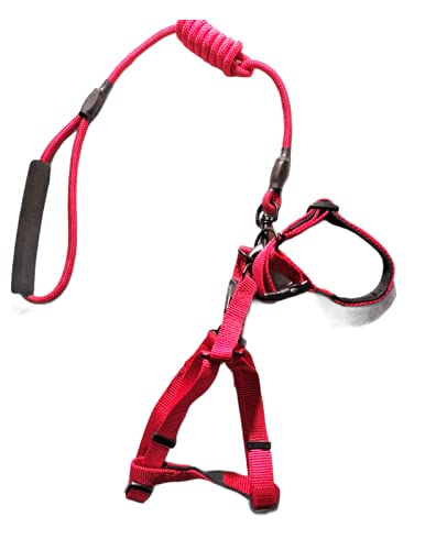 Paws & Tails â„¢20mm Rope Dog Collar & Harness Set