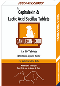 Canicon Canilexin-L 10Tablets for Dogs & Cats | Broad Spectrum Antibiotic