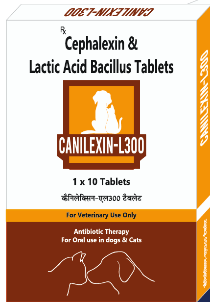Canicon Canilexin-L 10Tablets for Dogs & Cats | Broad Spectrum Antibiotic