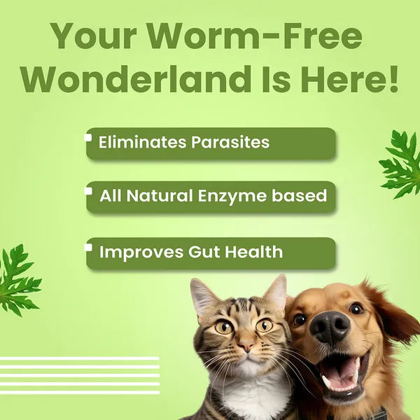 Vivaldis En Dewor Deworming Solution Tablets for Dogs and Cats